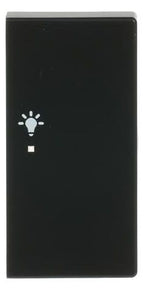 BJ 6231-22-885 Wippe/R 2f Licht schwarz matt Busch-free@home future linear