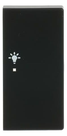 BJ 6231-22-885 Wippe/R 2f Licht schwarz matt Busch-free@home future linear