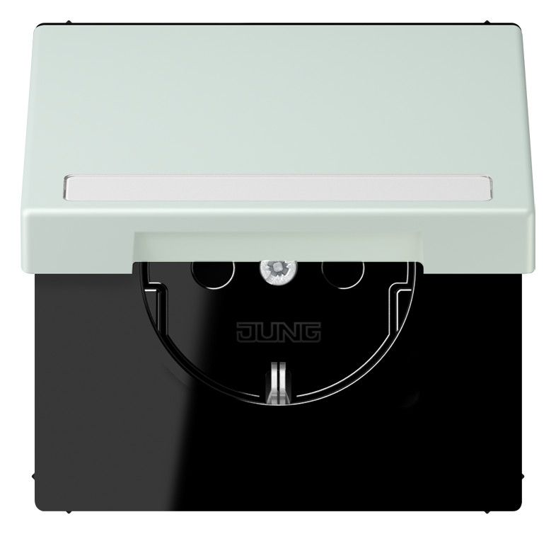 Jung LC1520BFNAKL215 SCHUKO-Steckd.KI m. Klappdeckel m.S