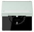 Jung LC1520BFNAKL215 SCHUKO-Steckd.KI m. Klappdeckel m.S