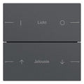 GIRA 576228 Wippenset 2fach indiv. Tastsensor4 System 55 Anthrazit