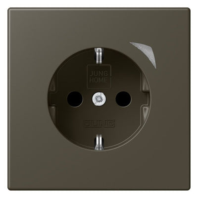 Jung BTLC1521SE241 JUNG HOME SCHUKO Steckdose Energy LC3214