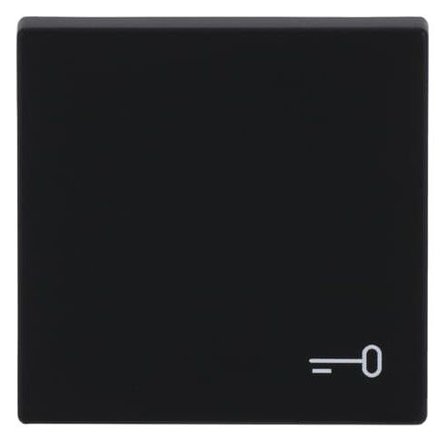 BJ 2520 TR-885 Wippe m.Aufdruck schwarz matt future linear Abdeckung