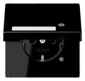 Jung LS 1520 NAKLKO SW SCHUKO-Steckdose 16A 250V Berührungs.- schutz Klappd.SF