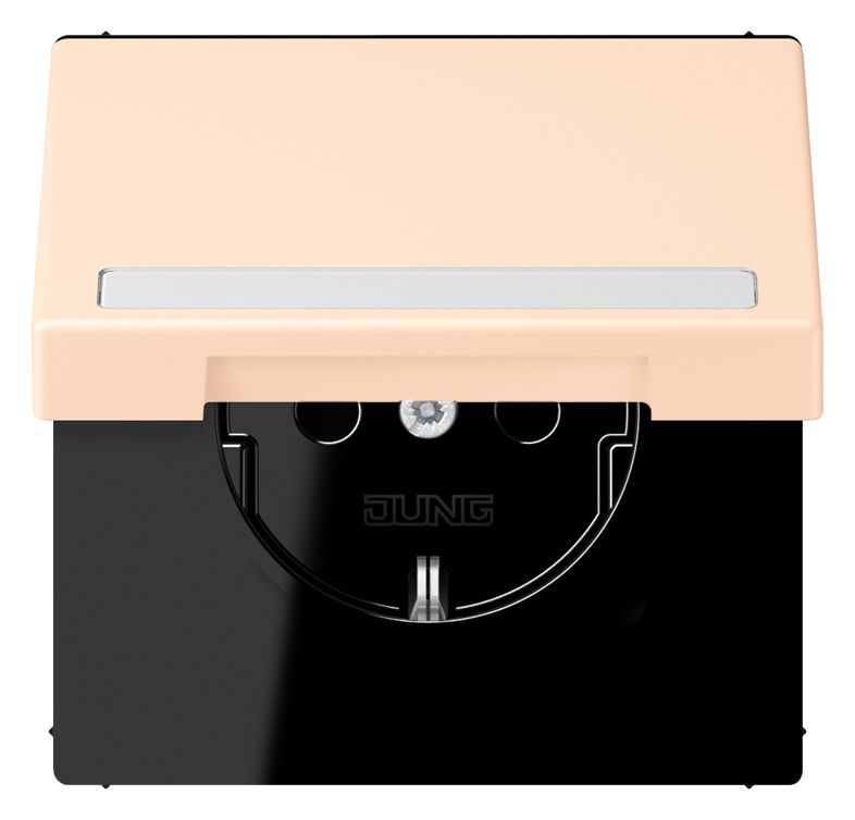 Jung LC1520BFNAKL238 SCHUKO-Steckd.KI m. Klappdeckel m.S