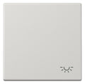 Jung LS990LLG Wippe Symbol Licht lichtgrau