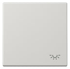 Jung LS990LLG Wippe Symbol Licht lichtgrau