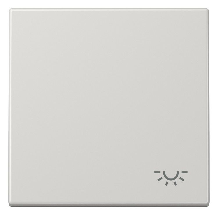 Jung LS990LLG Wippe Symbol Licht lichtgrau