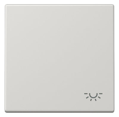Jung LS990LLG Wippe Symbol Licht lichtgrau