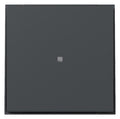 GIRA 349067 Wippe gerade Kontrollfenster TX_44 Anthrazit