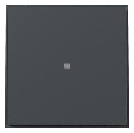 GIRA 349067 Wippe gerade Kontrollfenster TX_44 Anthrazit