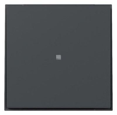 GIRA 349067 Wippe gerade Kontrollfenster TX_44 Anthrazit
