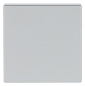 BJ 6230-10-83 Wippe 1-fach alusilber Busch-free@home