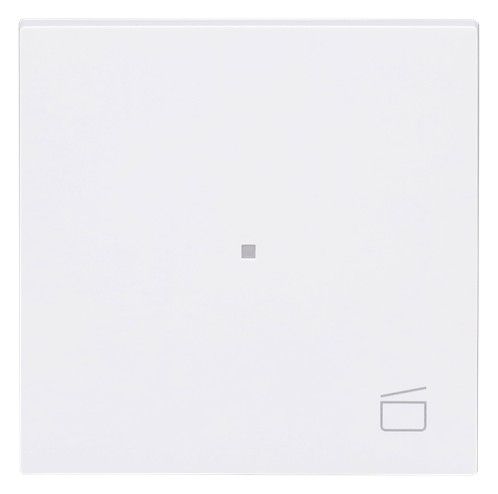 BJ 6233-10-44G Wippe 1-fach m.Symbol "Szene"