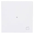 BJ 6233-10-44G Wippe 1-fach m.Symbol "Szene"