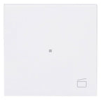 BJ 6233-10-44G Wippe 1-fach m.Symbol "Szene"