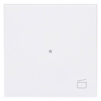 BJ 6233-10-44G Wippe 1-fach m.Symbol "Szene"