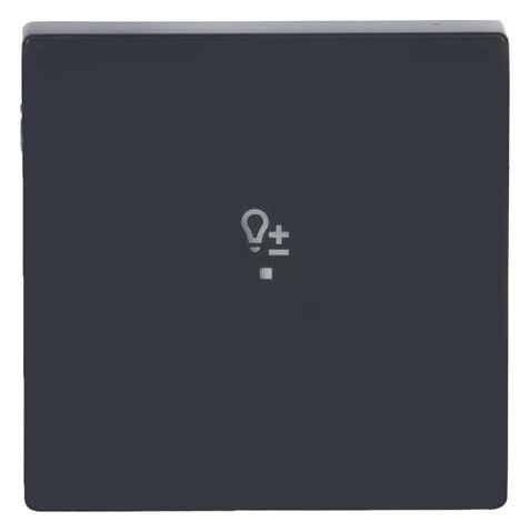 BJ 6234-10-81 Wippe 1-fach Dimmer Busch-free@home anthrazit