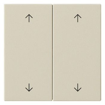 GIRA 538701 Wippe 2fach Pfeile System 55 Cremeweiß glänzend