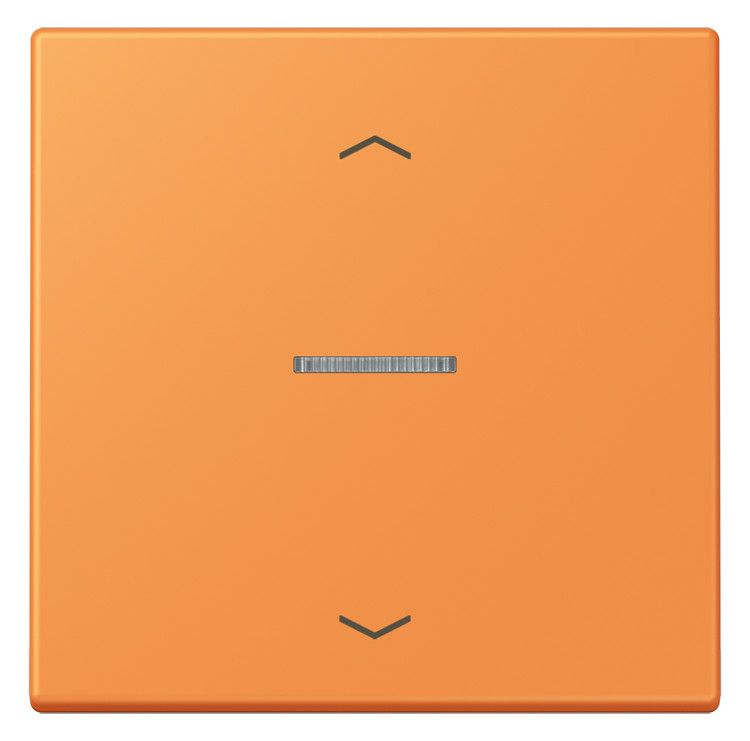 Jung LC101KO5P225 Wippe m.Lichtleiter u. Pfeilsymbolen