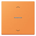 Jung LC101KO5P225 Wippe m.Lichtleiter u. Pfeilsymbolen