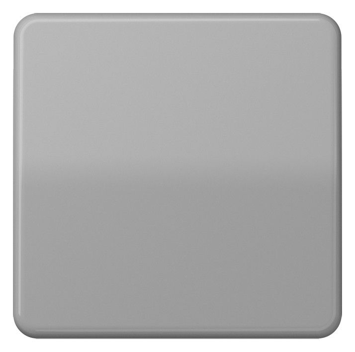 Jung CD101GR Wippe f.Taster
