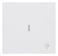 BJ 1789 LI-44M Wippe m.Symbol "Licht" m. transparenter Kalotte