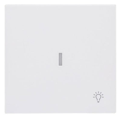 BJ 1789 LI-44M Wippe m.Symbol "Licht" m. transparenter Kalotte