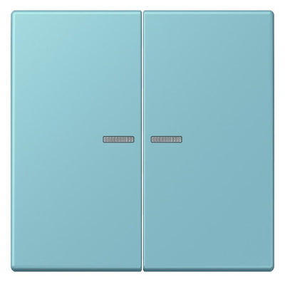 Jung LC995KO5213 Wippe f.Serienschalter KO LC32032