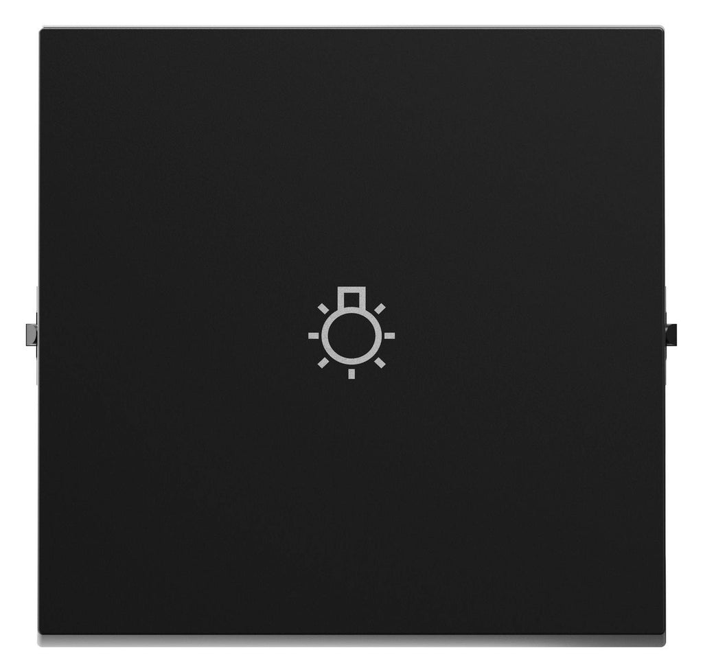 Legrand 765313 SEANO Wippe m.Symbol Licht in der Farbausführung sw lackiert