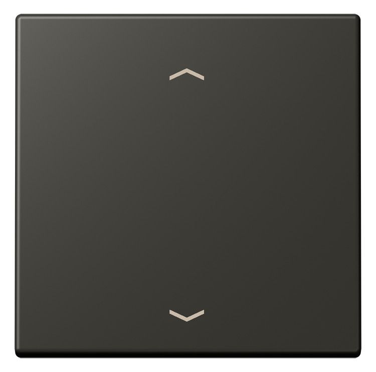 Jung LC101P259 Wippe m.Pfeilsymbolen f.KNX Taster 1