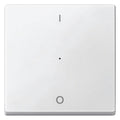 Mert MEG 5211-0419 Wippe f.Taster-Modul 1f (1/0) polarweiß System M