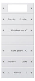 GIRA 221503 Wippenset 5fach Plus (2+3) beschreib. System 55 Reinweiß gl.(lack.)