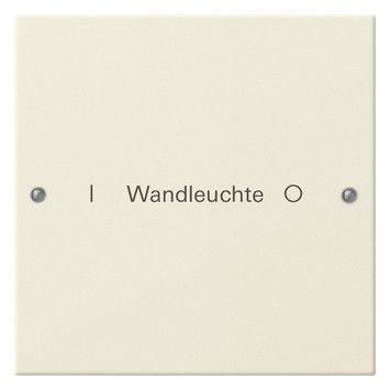 GIRA 220101 Wippenset 1fach beschreibbar System 55 Cremeweiß glänzend (lackiert)
