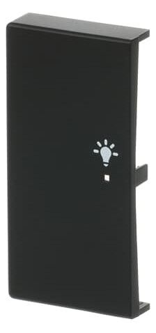 BJ 6231-21-885 Wippe/L 2f Licht schwarz matt Busch-free@home future linear