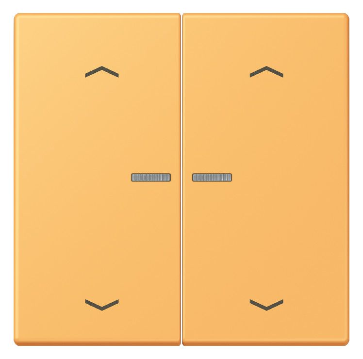 Jung LC102KO5P254 Wippe m.Lichtleiter u. Pfeilsymbolen