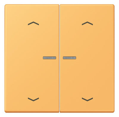 Jung LC102KO5P254 Wippe m.Lichtleiter u. Pfeilsymbolen