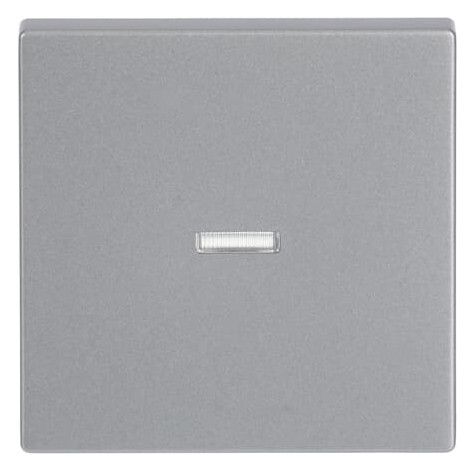 BJ 1789 N-83 Wippe alusilber future linear Abdeckung f.Schalter/Taster