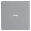 BJ 1789 N-83 Wippe alusilber future linear Abdeckung f.Schalter/Taster