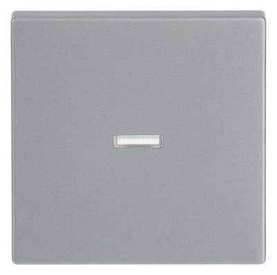 BJ 1789 N-83 Wippe alusilber future linear Abdeckung f.Schalter/Taster