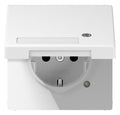 Jung LS 1520 NAKLKO WW SCHUKO-Steckdose 16A 250V Berührungs.- schutz Klappd.SF