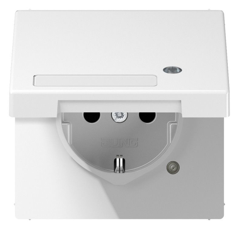 Jung LS 1520 NAKLKO WW SCHUKO-Steckdose 16A 250V Berührungs.- schutz Klappd.SF