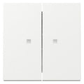 GIRA 363103 Wippe 2fach Kontrollfenster System 55 Reinweiß glänzend
