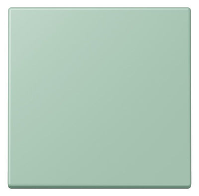 Jung LC990217 Wippe f.Schalter/Taster LC32041