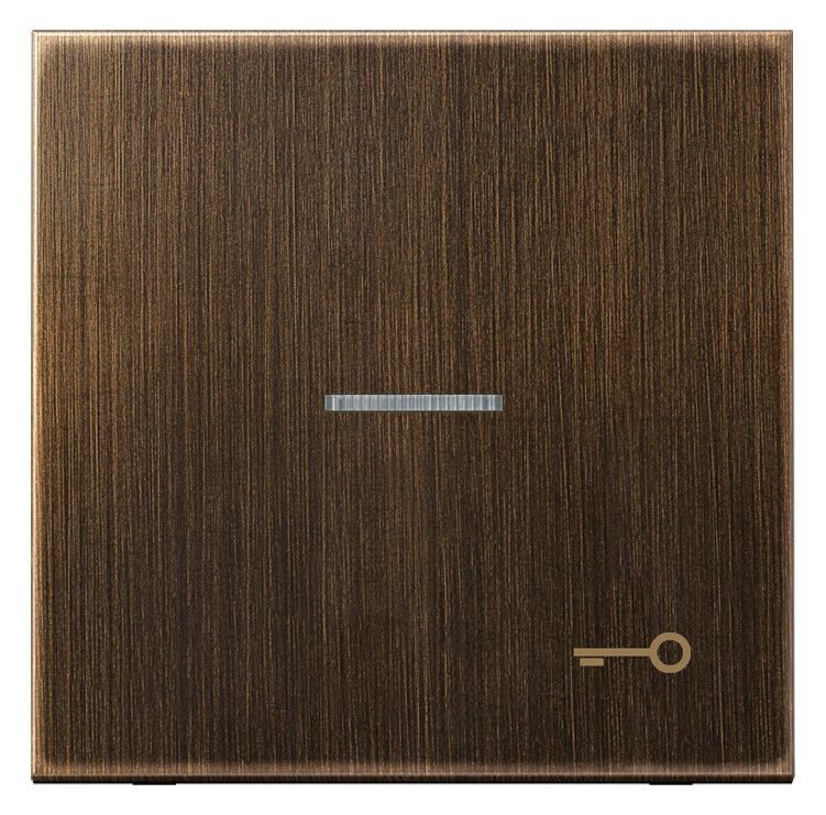 Jung ME2990KO5TAT Wippe Symbol Tür m.Lichtleiter LS Messing antik