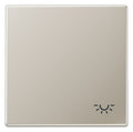Jung ES2990L Wippe Symbol Licht LS Edelstahl