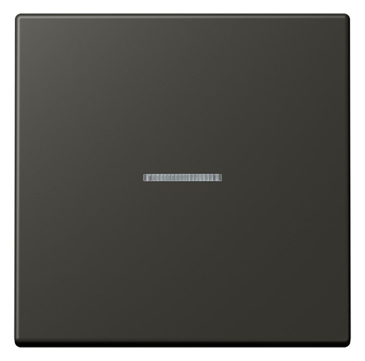 Jung LC990KO5259 Wippe f.Schalter/Taster KO LC4320R