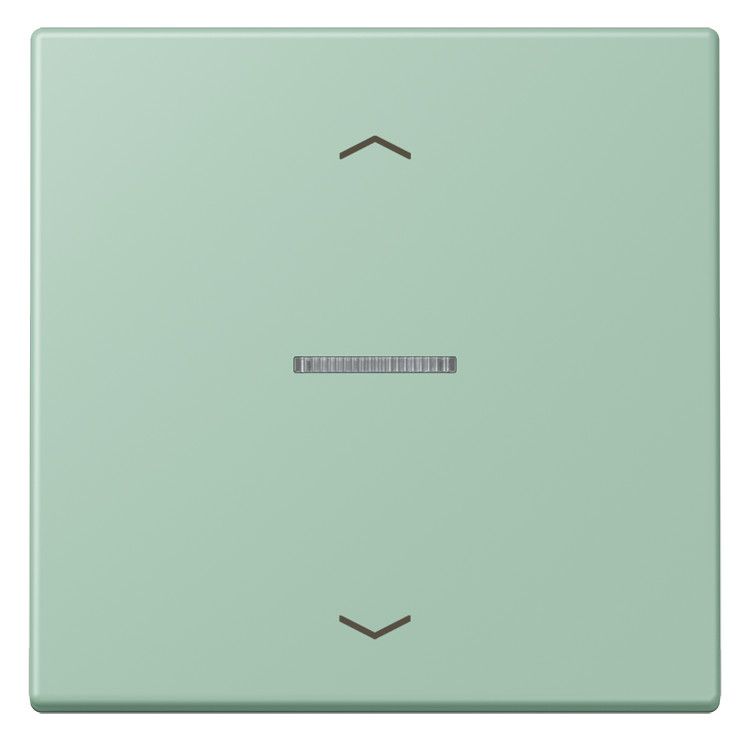 Jung LC101KO5P217 Wippe m.Lichtleiter u. Pfeilsymbolen
