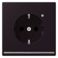 Jung LC1520-OLNW248 SCHUKO-Steckdose m.LED-Licht LC4320E