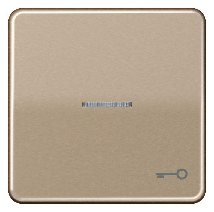 Jung CD590KO5TGB Wippe Symbol Tür m.Lichtleiter gold-bronze